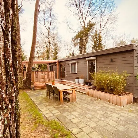 Trendy House Hattem Nr4 Chalet