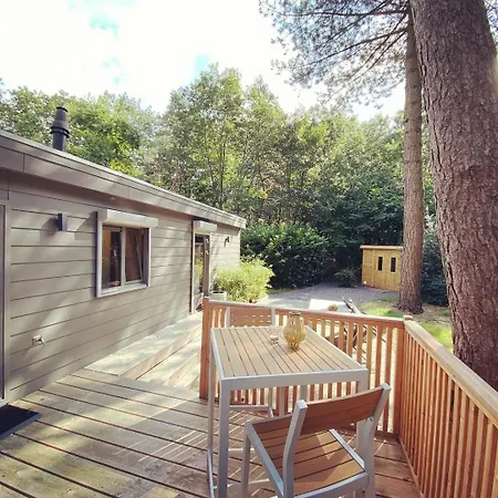 Trendy House Hattem Nr4 * Hattemerbroek